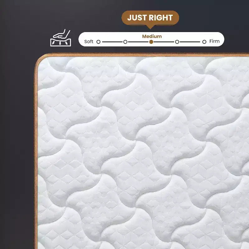 Materasso Ibrido in Peluche da 10 Pollici con Molle Insacchettate e Memory Foam in Gel